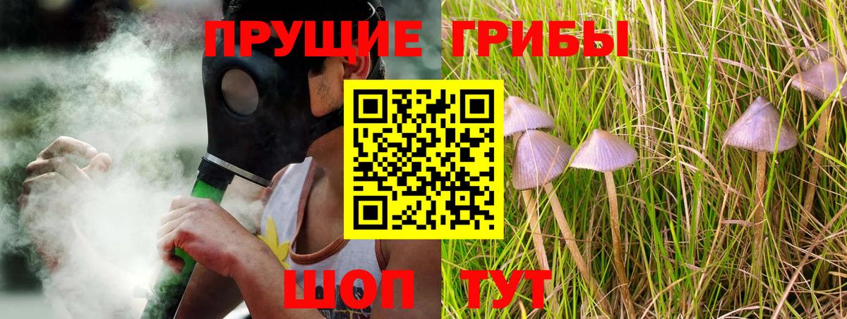 Псилоцибиновые грибы MAGIC MUSHROOMS  Вход с VPN  Каменск-Уральский  наркошоп  Псилоцибиновые грибы прущие грибы 